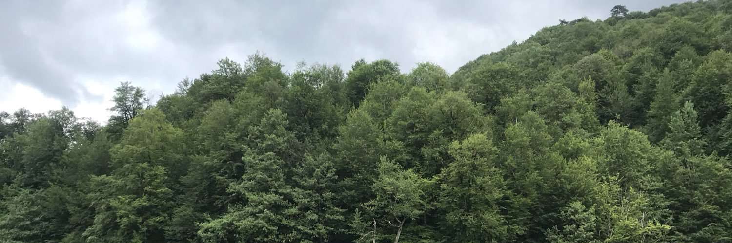 ZErildiz's profile banner image