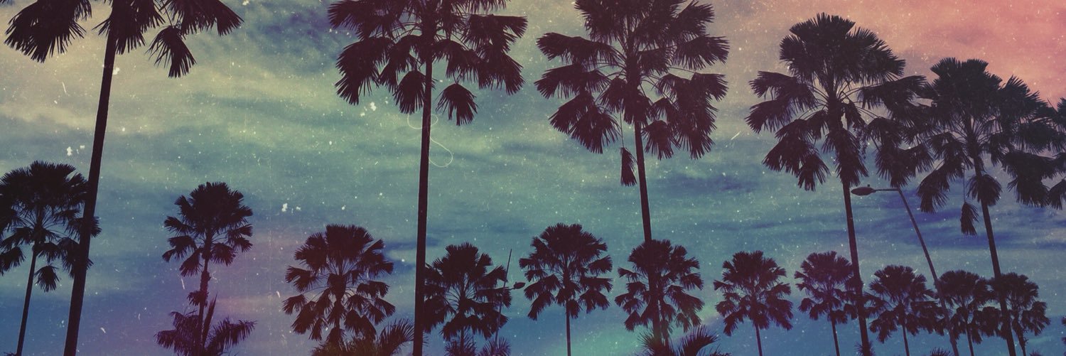 ptyology's profile banner image