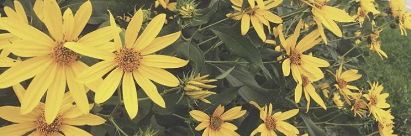 katvh8's profile banner image