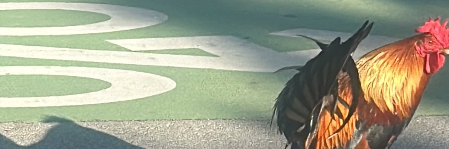 MirandaRandel's profile banner image