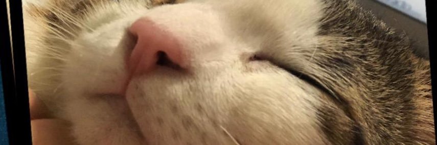 elifabethh's profile banner image