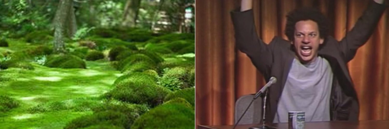 amy :~) 🍓✨ banner