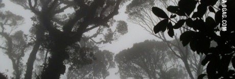 maxindajaus's profile banner image