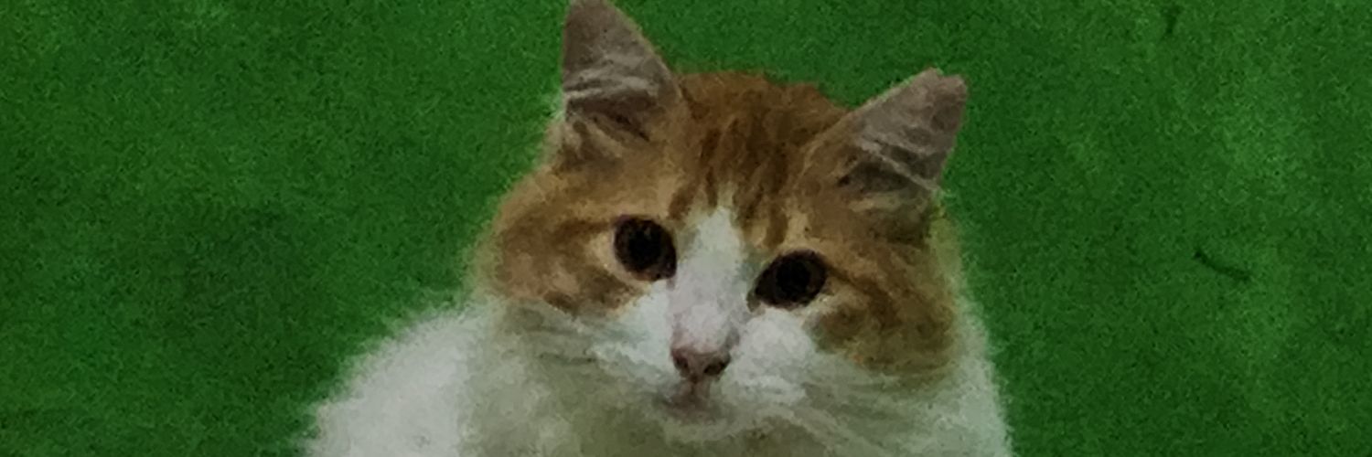 tansjko_'s profile banner image