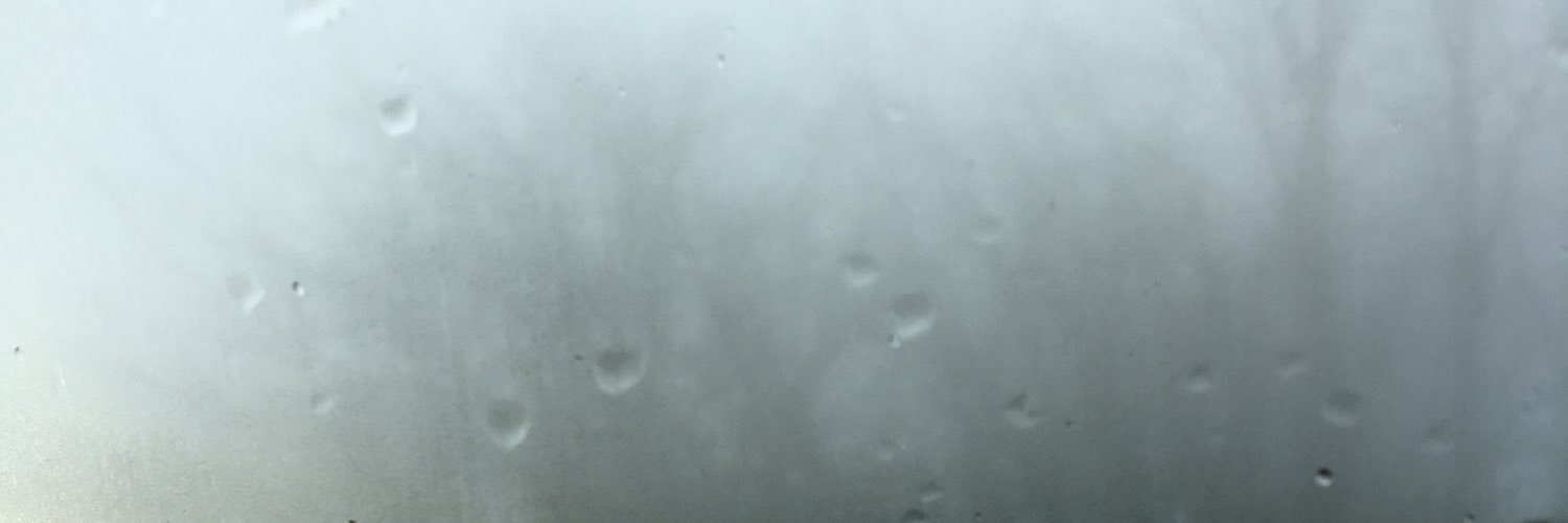 BeauchampTess's profile banner image