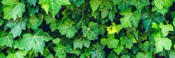 lilxkix Profile Banner