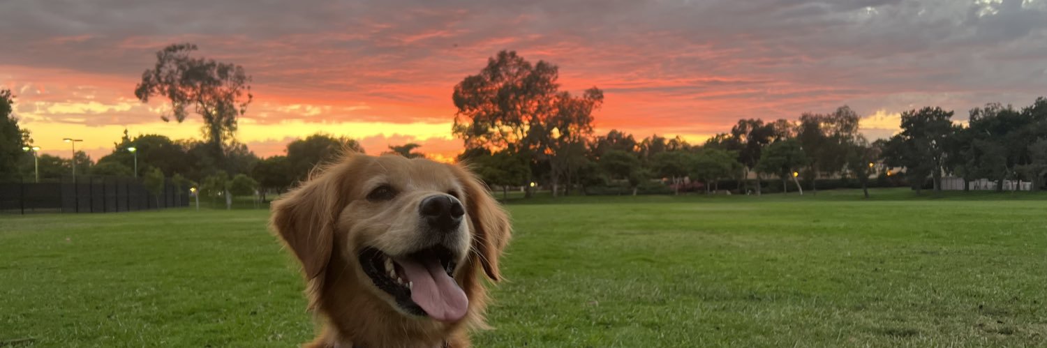 kam_peanut's profile banner image