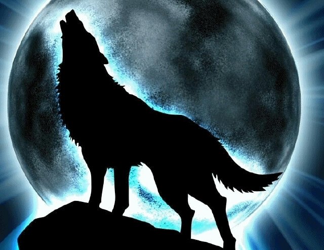 dat_werewolf's profile banner image