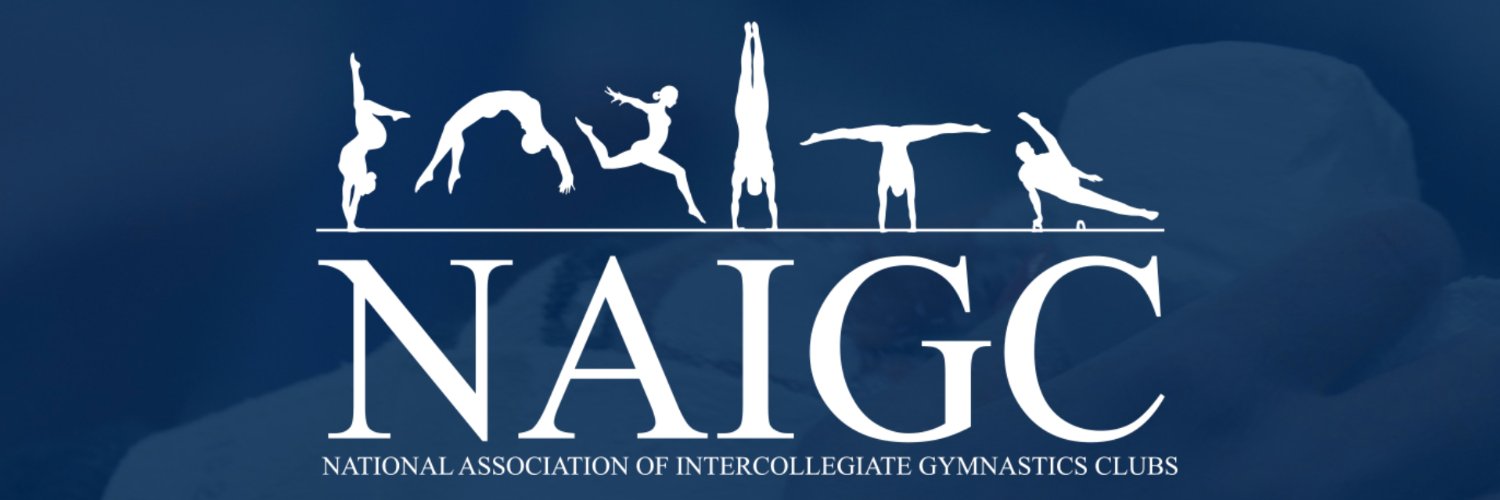 NAIGC's profile banner image