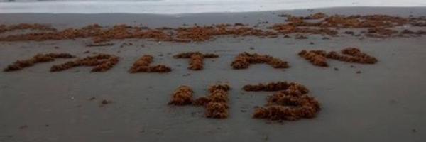 AlbertoTulum Profile Banner