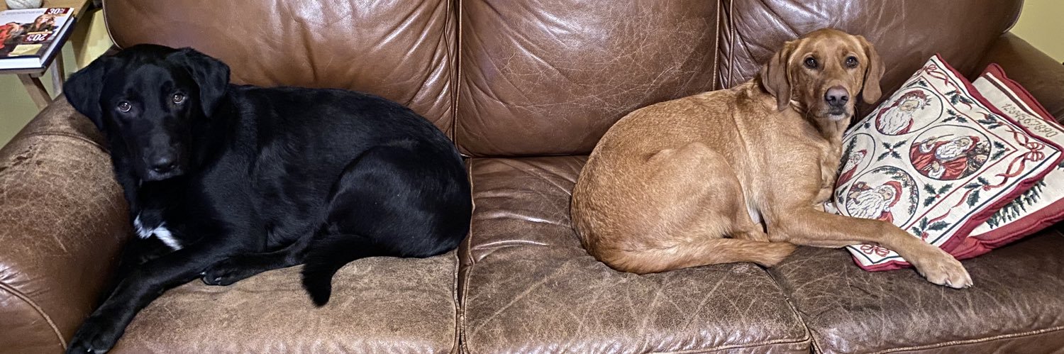 •🔹BK🔹• banner