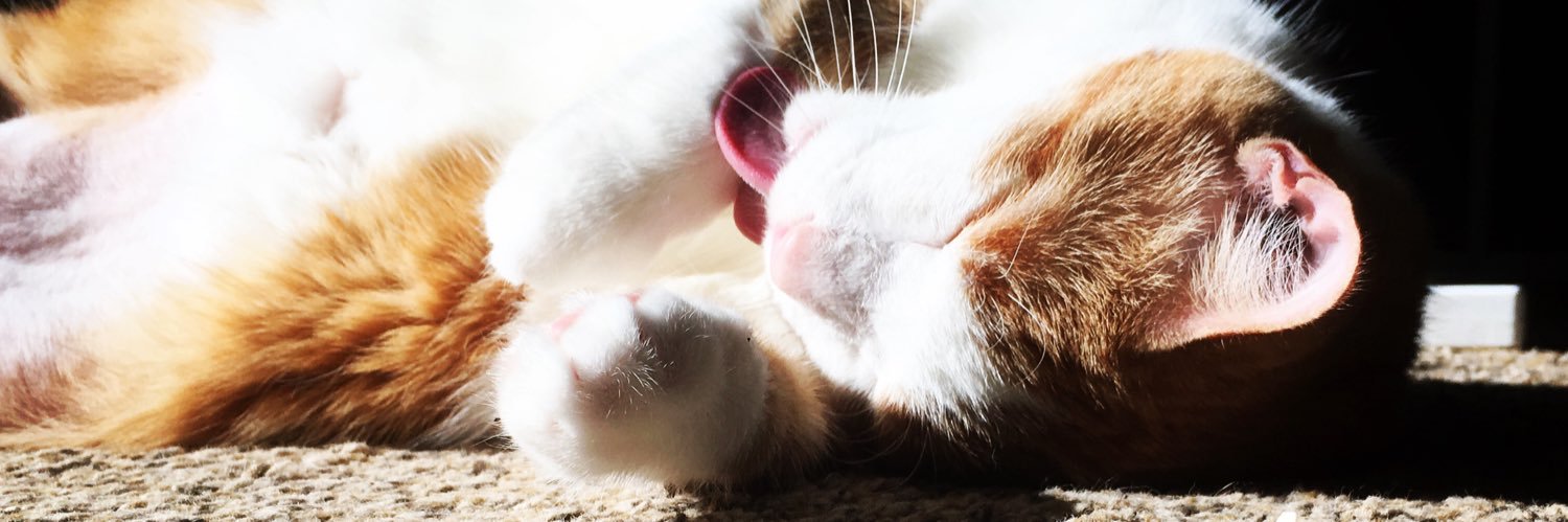 kerfuggle's profile banner image