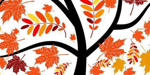 amit_tr's profile banner image