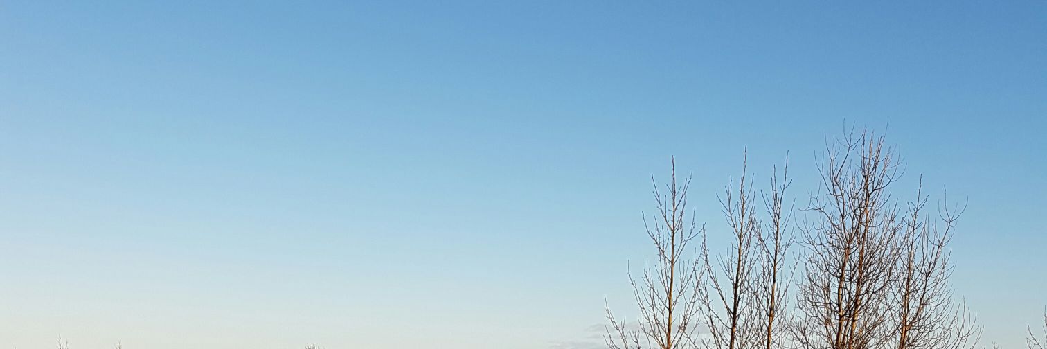 DHaralds's profile banner image