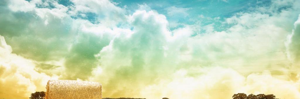 Dvalmont07's profile banner image