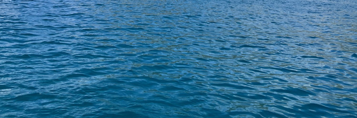 Seyuri Govender banner