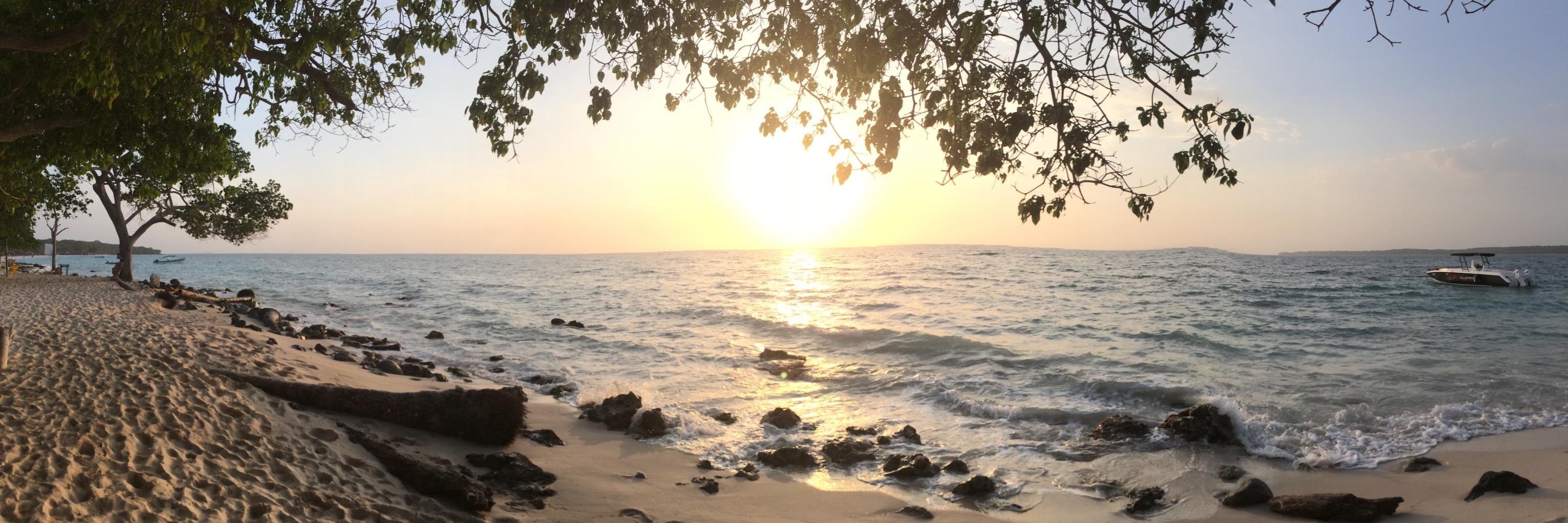 JDhanani's profile banner image