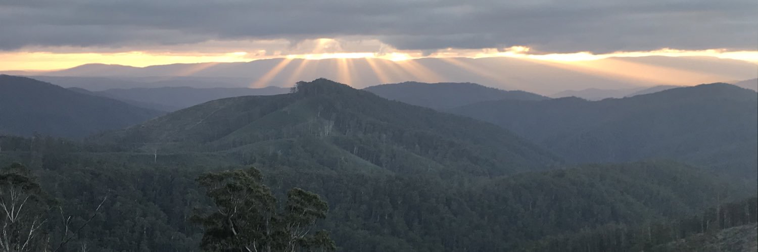 Stuart Hutson banner