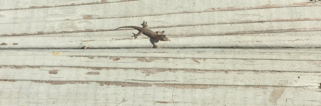 huhwell's profile banner image