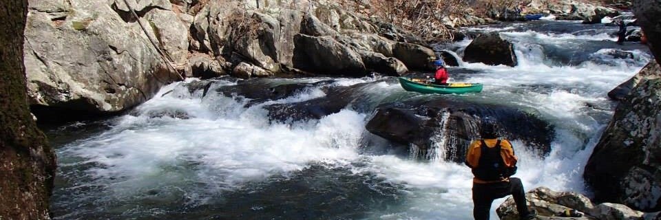 Adam Bernhardt banner