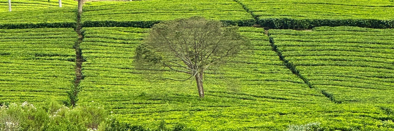 adityagusetya's profile banner image