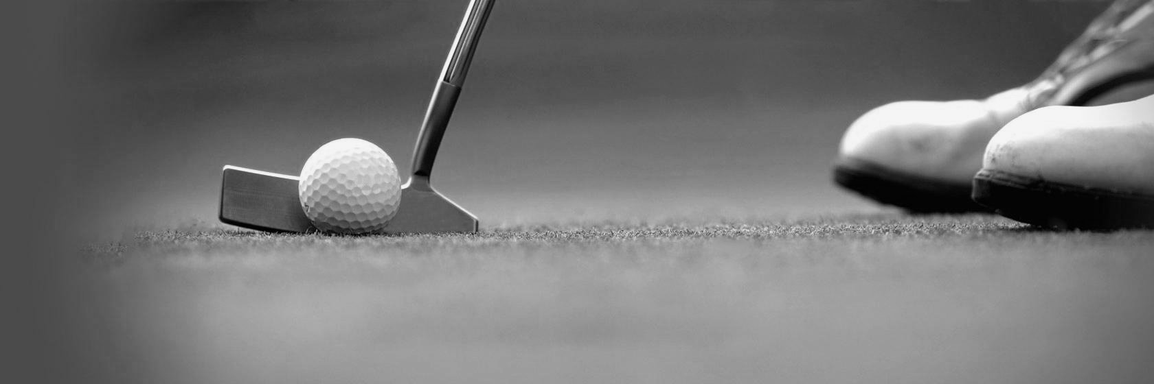 Part Time Golf Co. banner