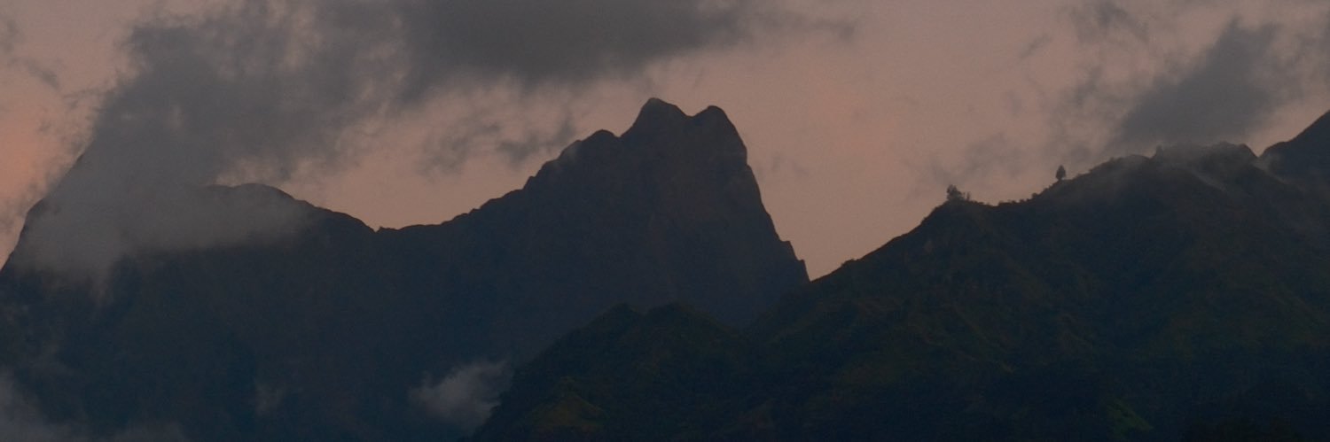 Mo' banner