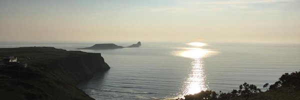 amy_ryall Profile Banner