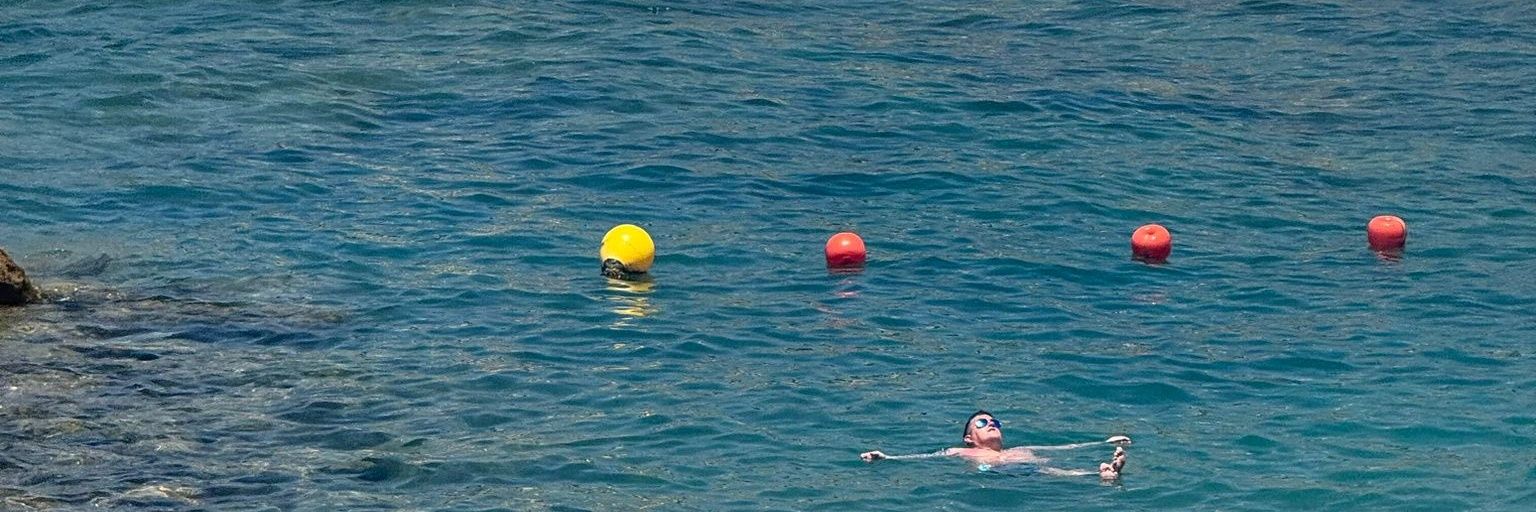 Eddie Baxter 💛💚 banner