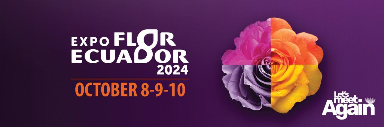 Alejandro Martinez banner