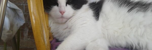 tarkankaynar Profile Banner