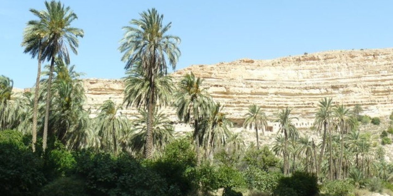 SedSeddik's profile banner image