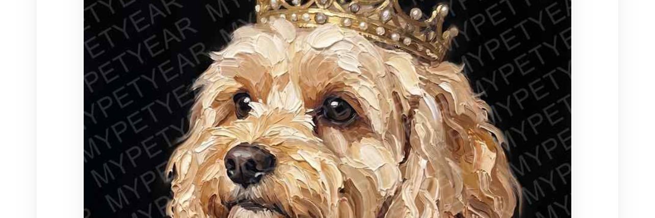 jeffkerr47's profile banner image