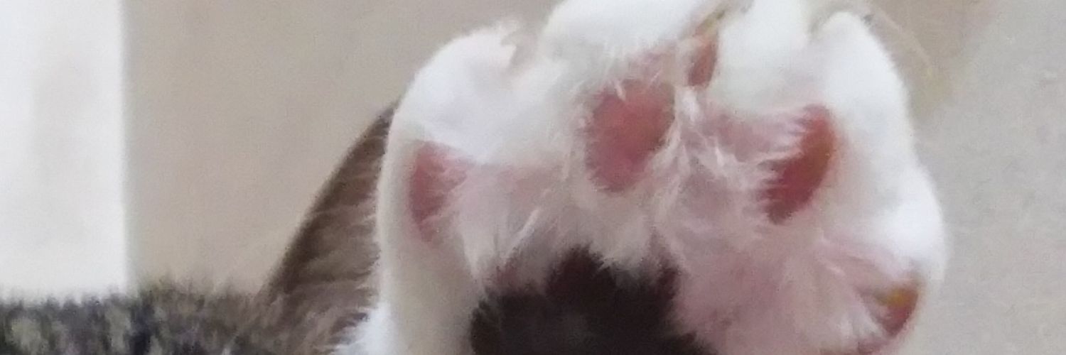 gucci320's profile banner image