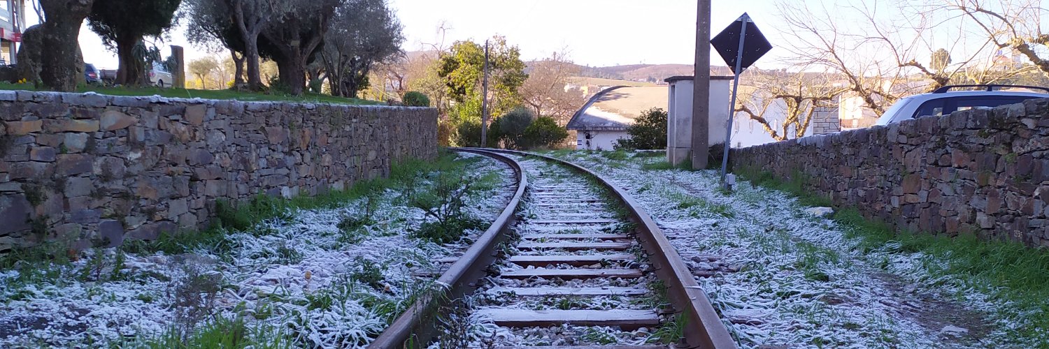 Ary Vinicius Frigeri banner