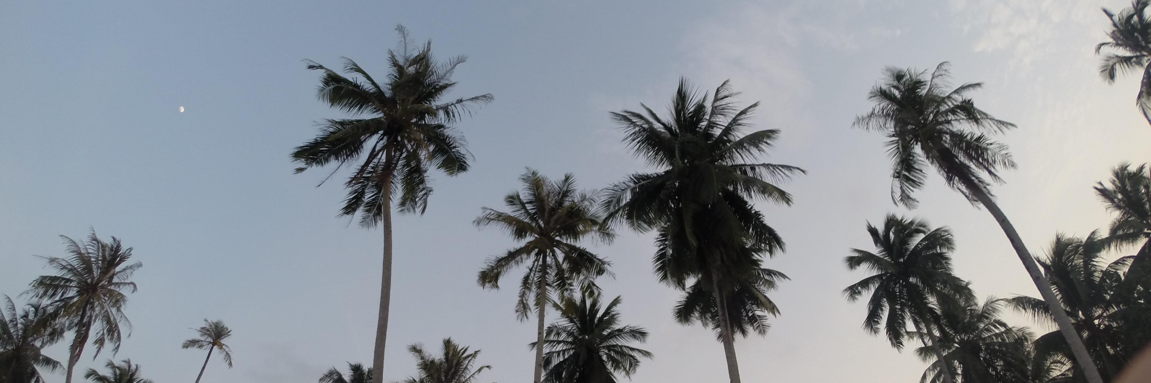 migueldie's profile banner image