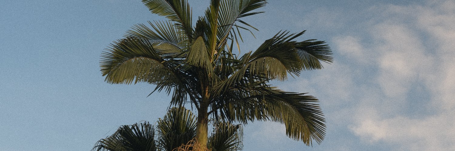 Nienoow's profile banner image