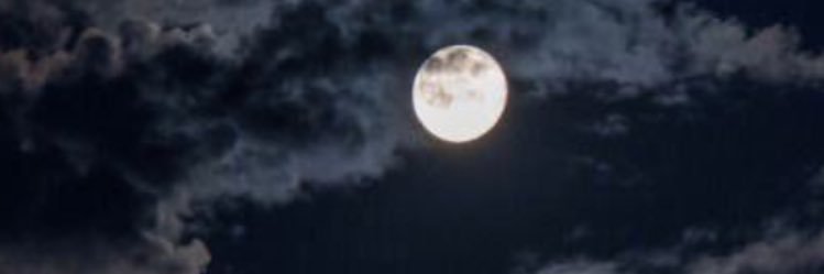 faleh99555's profile banner image