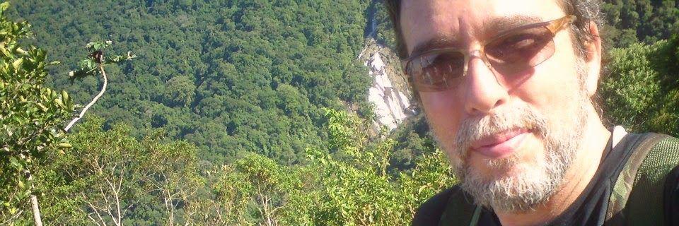 Mrs_Froes's profile banner image