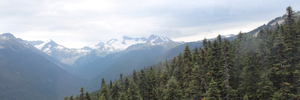 simplyyjules's profile banner image