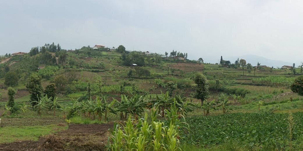 Rwanda Initiative... banner