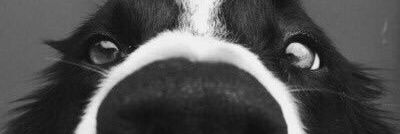 johnny_ariza's profile banner image