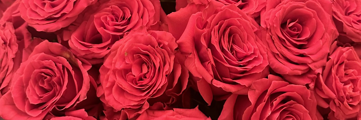 valsss__'s profile banner image