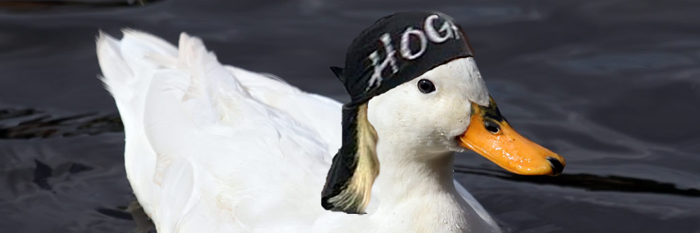 Donkadillo's profile banner image