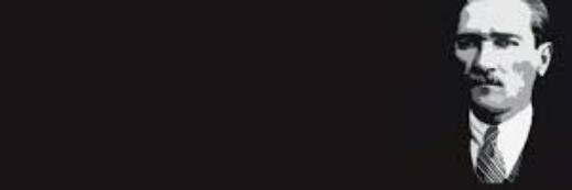 Maviinek's profile banner image