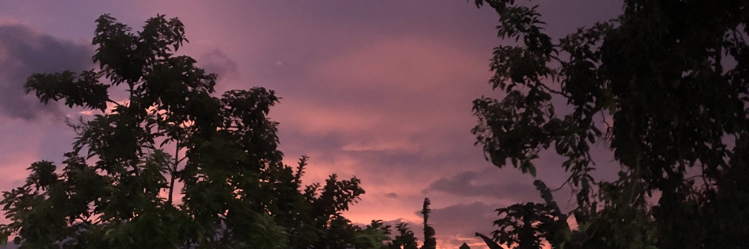 aisjaptr's profile banner image