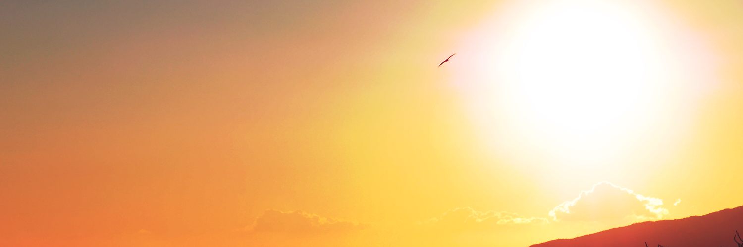ReNewsJapan's profile banner image