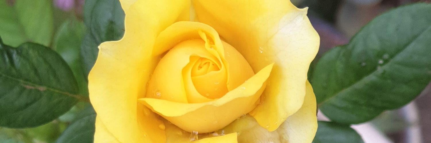 AdaGOkoli's profile banner image