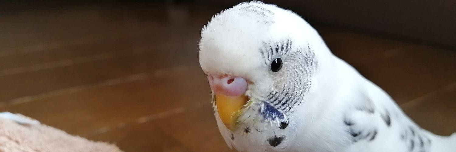 guutanto's profile banner image