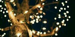 Sandramh92's profile banner image